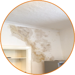 Damp and Condensation