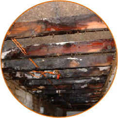 Wet Rot